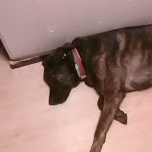 Meet your Posher, Marilyn